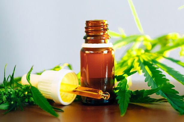 Know Regarding CBD Oil