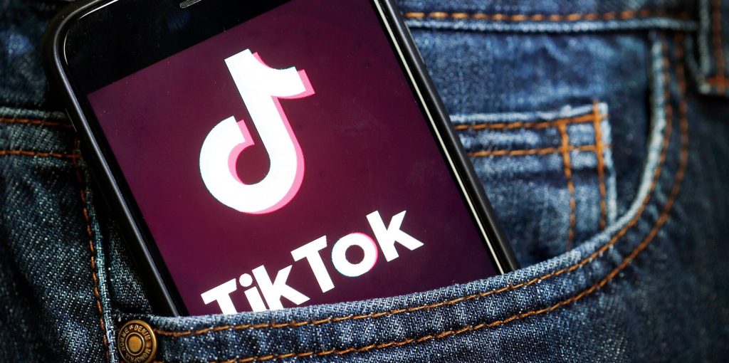 tiktok video downloader